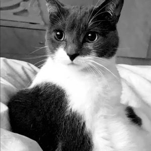 Meet your Posher, Saamiya